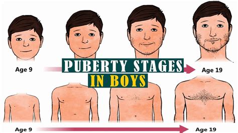 Answer (1 of 4) If you are asking about the age of puberty itself then its dependent on what those who specialize in biology would say, since the prophet made it clear in Sunan Abi Dawud 4587 that we should seek the experts on the medicinal field which includes the age of puberty. . What is the age of puberty in islam for a boy